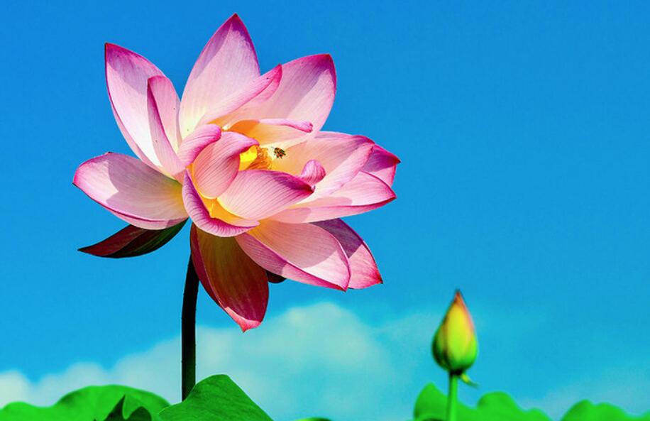 『运势』未来一周,贵人扶持,财气汇聚,财气如日中天,幸福八方来的属相