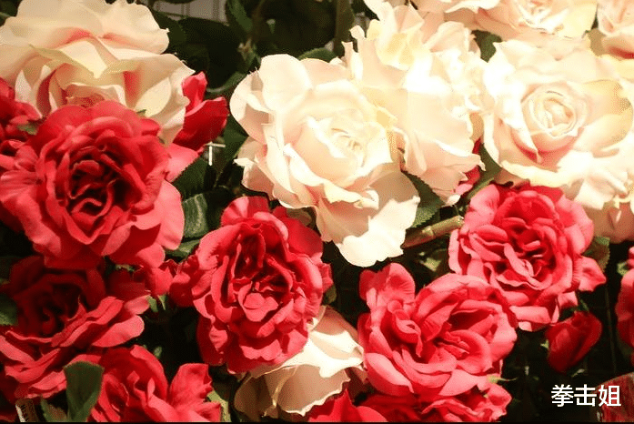 【生肖】六月下旬，财运翻倍，此3生肖逆袭顺利，先人一步赚到钱