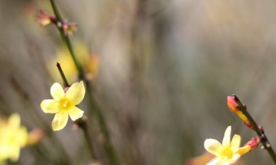 爱情运|十月中旬开始，财运爆表，大财连连，贵人支持的生肖