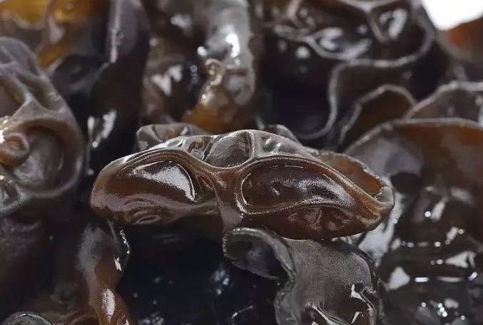「黑木耳」以下几种菜堪称女性“不老丹”,益气补血、燃脂抗衰,了解下