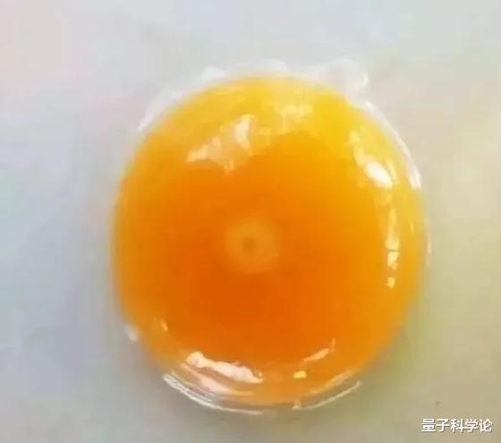 【鸡蛋】母鸡为什么和公鸡不交配就能产蛋？那公鸡存在的作用是什么？