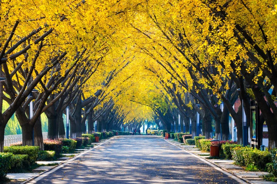 无法抗拒|比苏州秀美！原来它才是江南秋景第一，正适合去过几日慢生活！