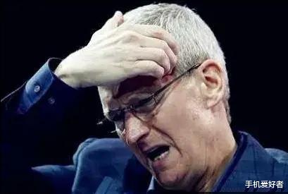 『苹果』欧盟突然宣布,苹果要么改成Type-C接口,要么退出欧洲市场