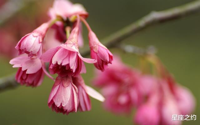 ##从6月份开始,蓄势待发,勇往直前,前途无量的三大星座