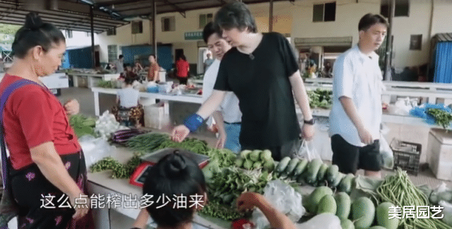 何炅|向往的生活：为何出门买菜总是何炅开车？得知他的驾驶证后：了不起