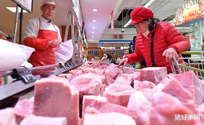 12月16日15公斤仔豬價格，能繁母豬供應增加，仔豬上漲行情難保？-圖2