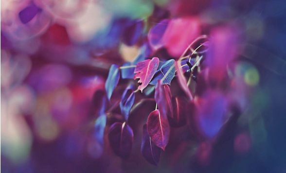 「摩羯座」哪四个星座最没心没肺！