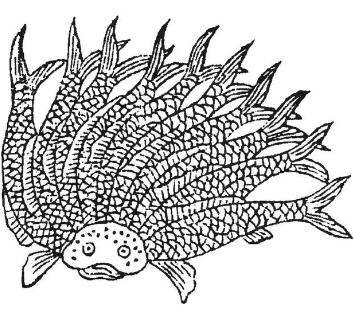 山海经|与罗布泊发现的干尸不谋而合，难道山海经不是神话，是真的？