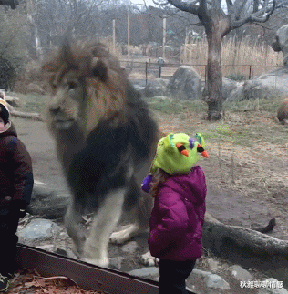 韭菜|你有原本十分厌恶，后来却爱上的食物吗？从此爱上了鱼腥草哈哈哈！