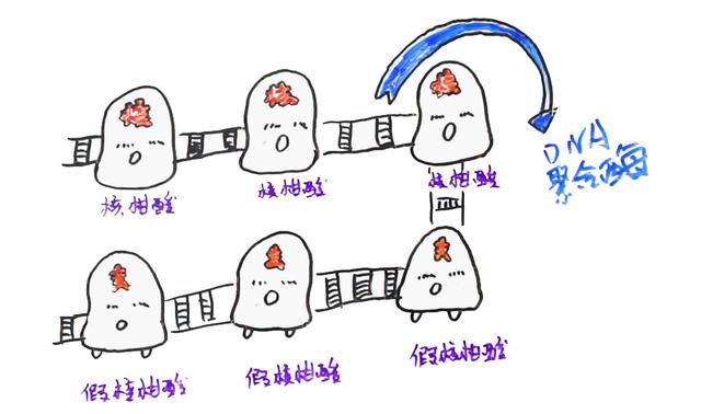 乙肝|张文宏说乙肝能临床治愈，那为什么还有携带者7000多万？