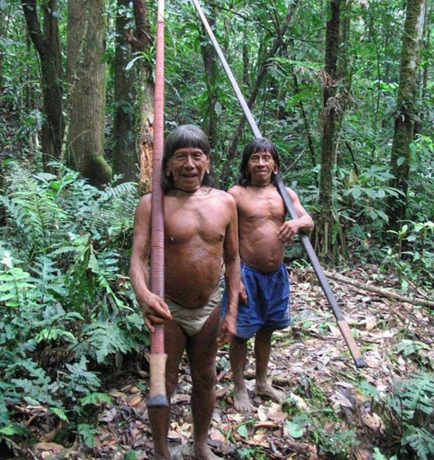 毒蛇|与世隔绝的“哑巴”部落：5万人从来没有说过话，靠吃虫蛇为生