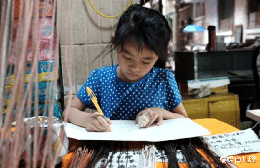 作文|小学生作文《假如我是蜜蜂》火了！爆笑开篇理智结尾，看后引深思