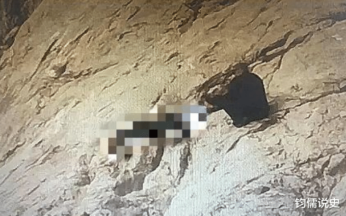 鲢鳙|辽宁大连发生一起意外事故，位于滨海路棒棰岛，场面让人揪心