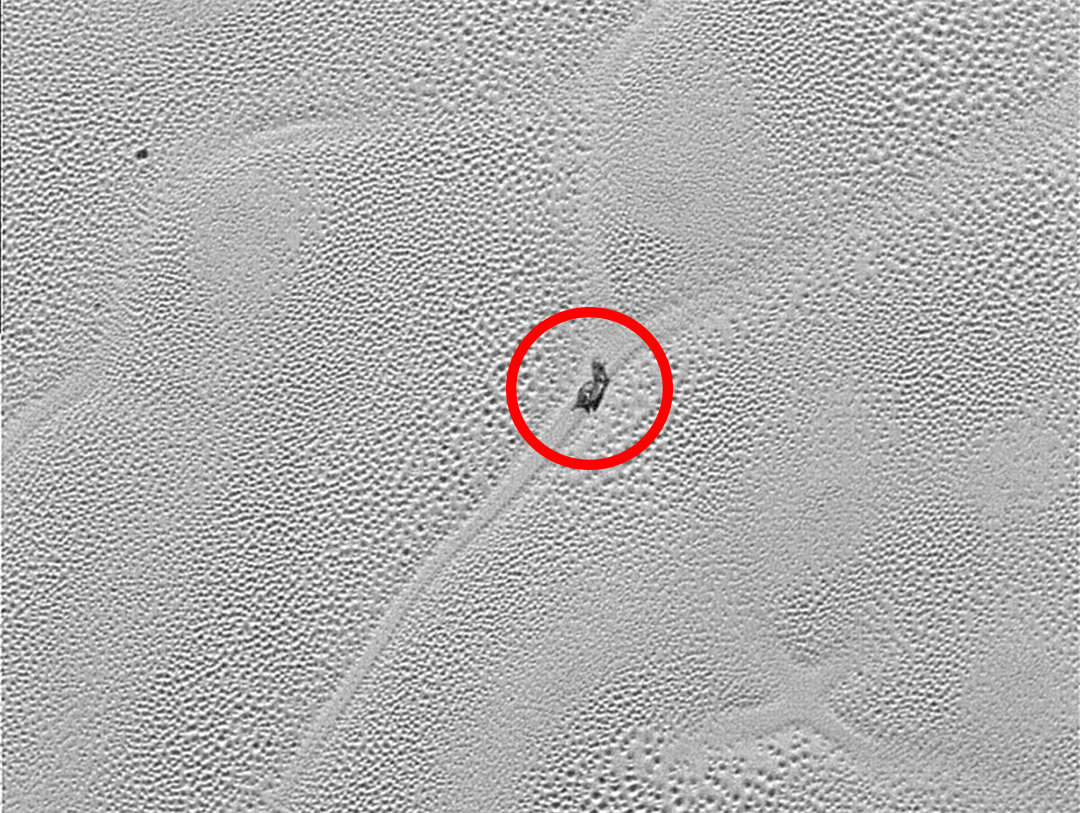 「冥王星」被踢出九大行星的冥王星有多“可怕”？