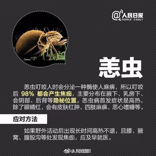 『蜱虫』又到高发季!浙江一医院连续接诊十几例,严重可致命,五一出游务必当心它...