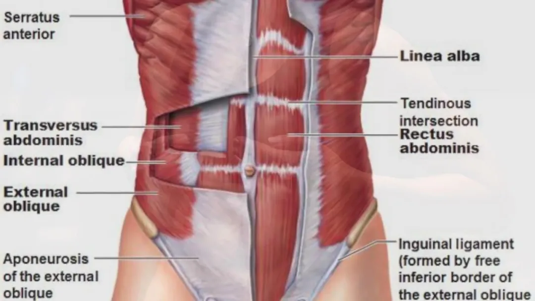 『腹肌锻炼』从平腹到明显腹肌，她是怎么做到的？
