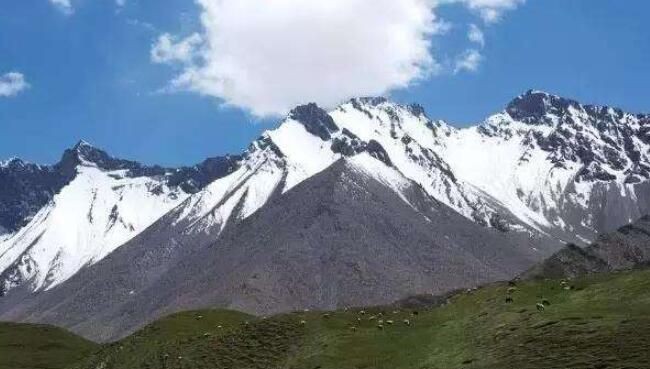 |1962年昆仑山螳螂人之谜,似螳螂又似人的怪异生物