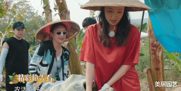 『张馨予』《向往的生活》最土豪的嘉宾，随身带着上千万行李，黄磊迎接时都小心翼翼