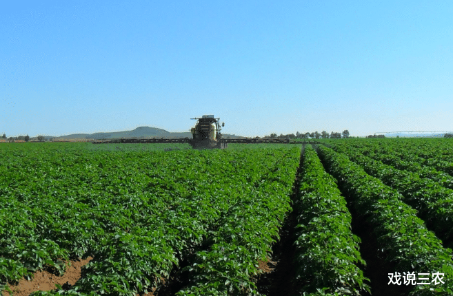 东海|集中耕种或全面推广？2项“新政”出台，未来3年，农场主享福了！