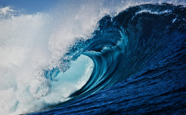 【白马股】低调吃肉,29只白马股,股民:机构隐藏太深了!(名单)