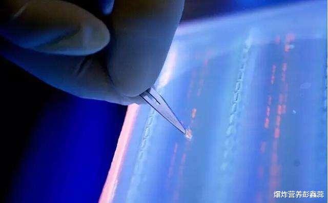 疾病|哪些人不容易患癌症?医生:有这3个特征的人,都十分幸运