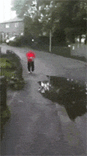 姚晨|“所有人都恨尹志平，但为什么小龙女不恨他？”哈哈