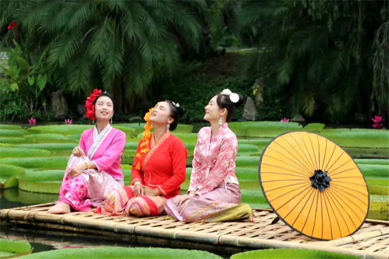 [西双版纳]一叶王莲做轻舟！云南西双版纳王莲竟可以托起傣族成年美女（图）