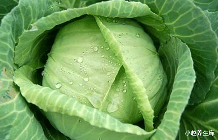 「幽门螺杆菌」幽门螺杆菌的“克星”找到了,多吃一口也行,给你的胃排排毒!