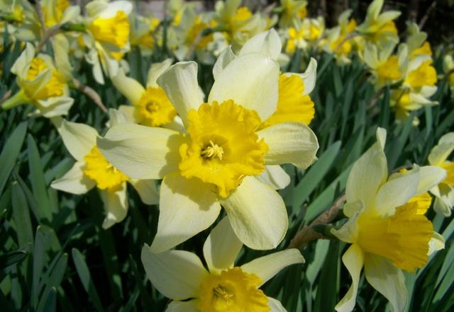 生肖|10月有好运入命，4大生肖财运飞来，幸运聚集，腰包鼓起来！