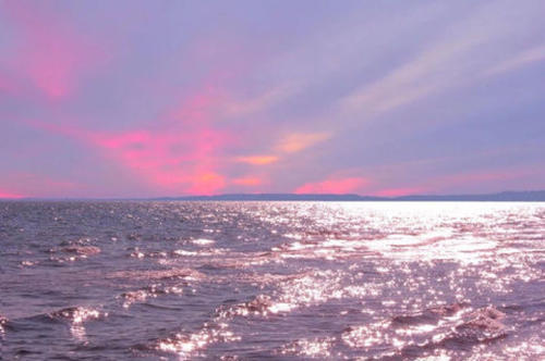 运势|猫巫占卜星座周运2020年8.3-8.9：怀揣着憧憬，踏实规划未来