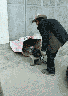 |“这是祖传裂纹玉，爷爷爱不释手说能换一套房！”哈哈哈