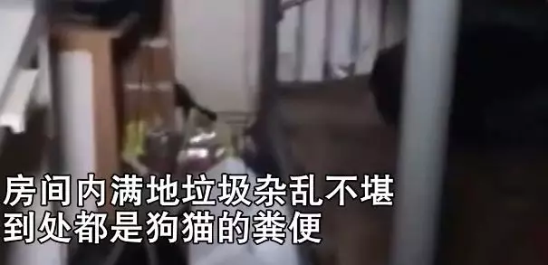 租客退房屋主收房时内心崩溃，除了动物粪便还有尸体