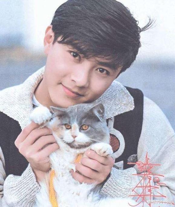 张卫健|结婚3次新娘是同一人，不让妻子生小孩的张卫健，如今过得怎样？