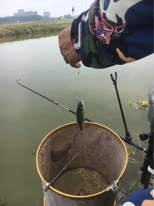 『』夏季雨天最适合钓鱼，但不是所有雨天都能钓到更多鱼，如何选择？