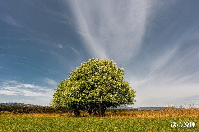 「处女座」6月,柔情蜜意,风花雪月总乱心,3星座旧情复燃,携手相伴人间