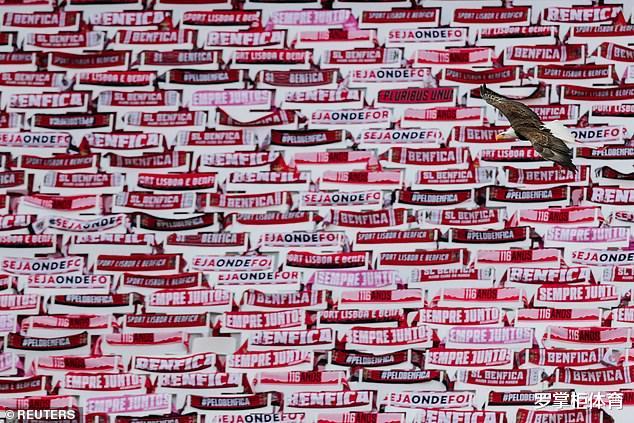 本菲卡▲太过恶劣!本菲卡葡超重启被逼平,2名球员赛后被球迷用石块砸伤