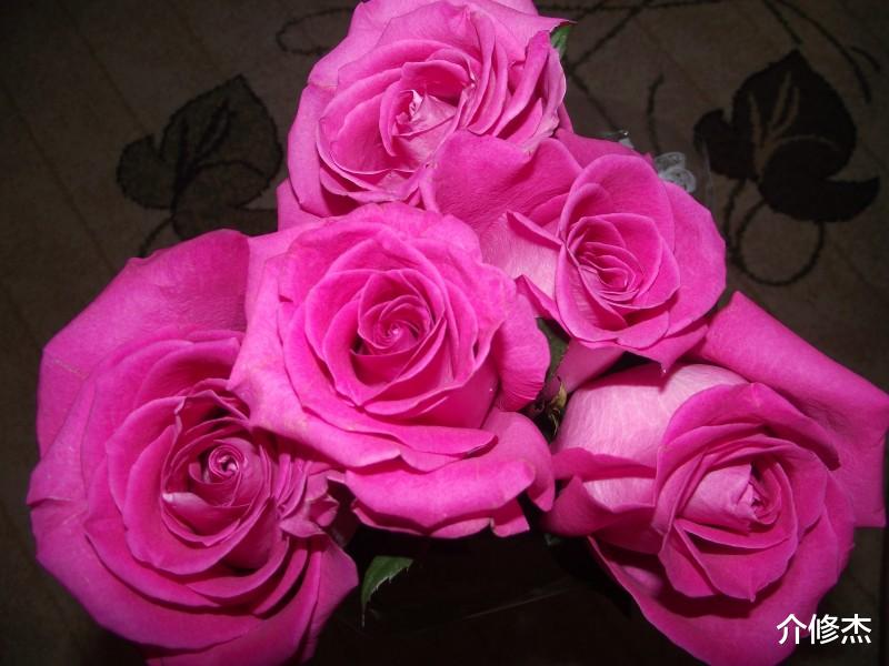 [生肖]六月份底，最有魅力，异性缘超好，最不缺人追的四大生肖