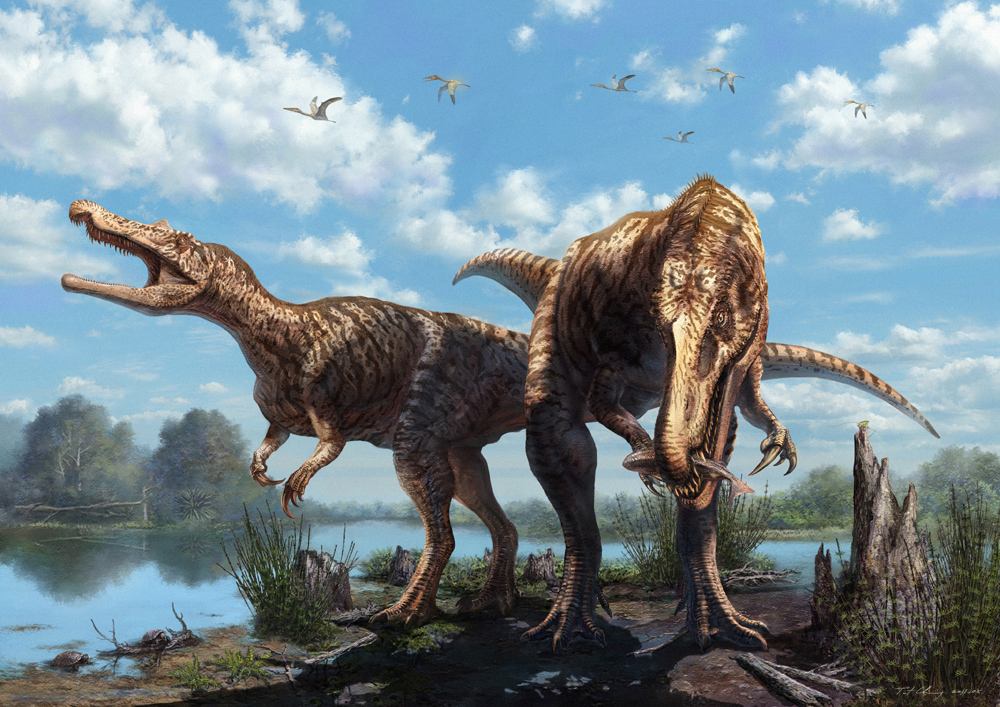 暴雨|2.3亿年前下了一场持续200万年的暴雨，科学家预测或再次出现！