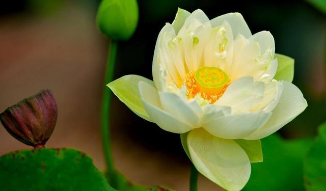 「生肖」爱情就像龙卷风,这几个星座容易喜新厌旧