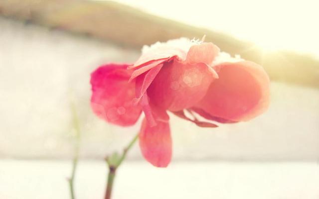 霉运|8月份上了红榜的星座！就算之前运势差，现在也能生活甜甜