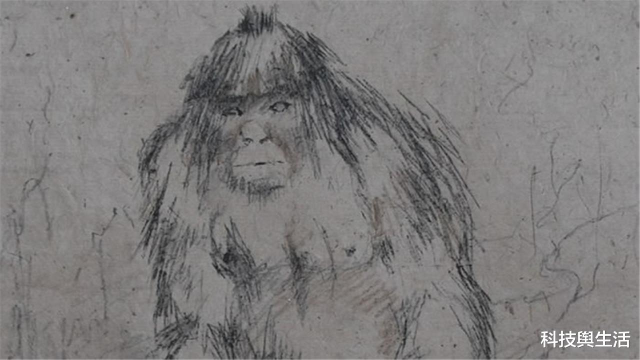 南极|谷歌地图有大发现，南极边缘有不明生物，疑似消失已久的“雪人”！