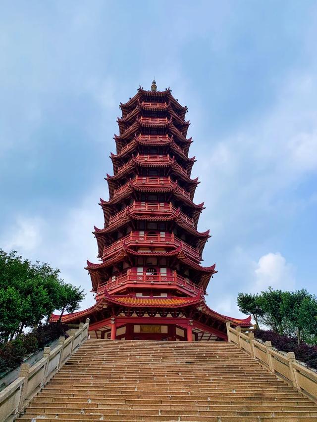 大雁山:避开人潮,周末自驾1小时,带孩子住进天然氧吧里