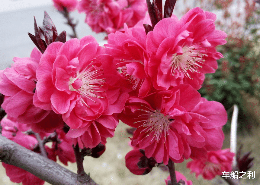 运势▲3生肖今天开始运势飙升，财运顺畅，腰包越来越鼓，看看你上榜了吗