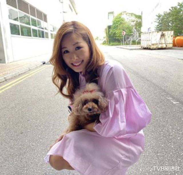 赵希洛|TVB花旦为拍剧忍痛练舞，放弃读硕士机会，进娱乐圈追梦