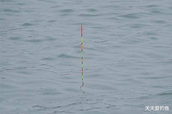 |精确调漂，这些步骤一定不能省，调漂准确，中鱼率自然飙升！