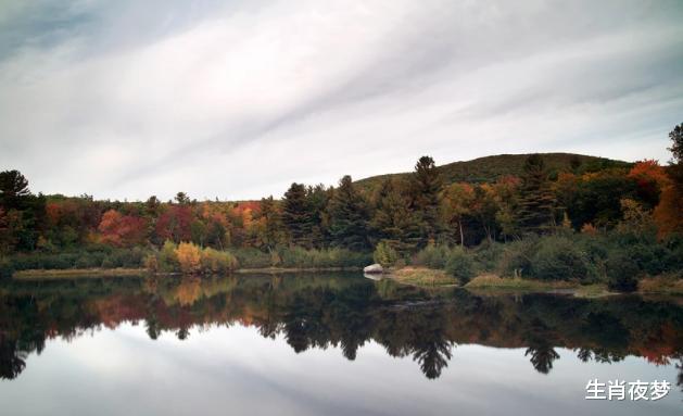|10月初，旧情人不舍，主动示软，3生肖思念炽热，期待旧情复燃