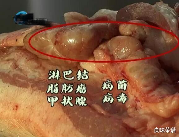 猪肉|猪身上有一块肉,叫做“槽头肉”,买时擦亮双眼,肉贩自己都不吃
