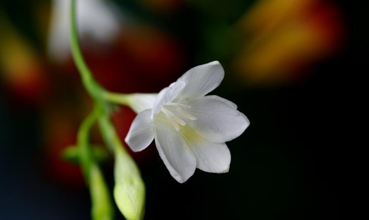 生肖|9月开始日进斗金,喜讯临门,成功步入上坡路的四大生肖