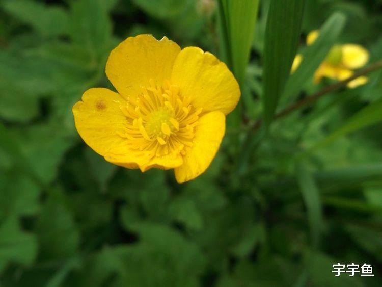 生肖|9月开始财富堆成山，事业发展兴旺，不再愁眉苦脸的四大生肖
