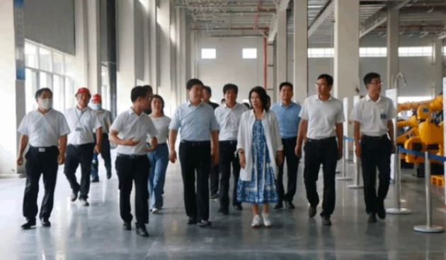 『新能源』董小姐挥一挥衣袖，真的要退群汽车界？